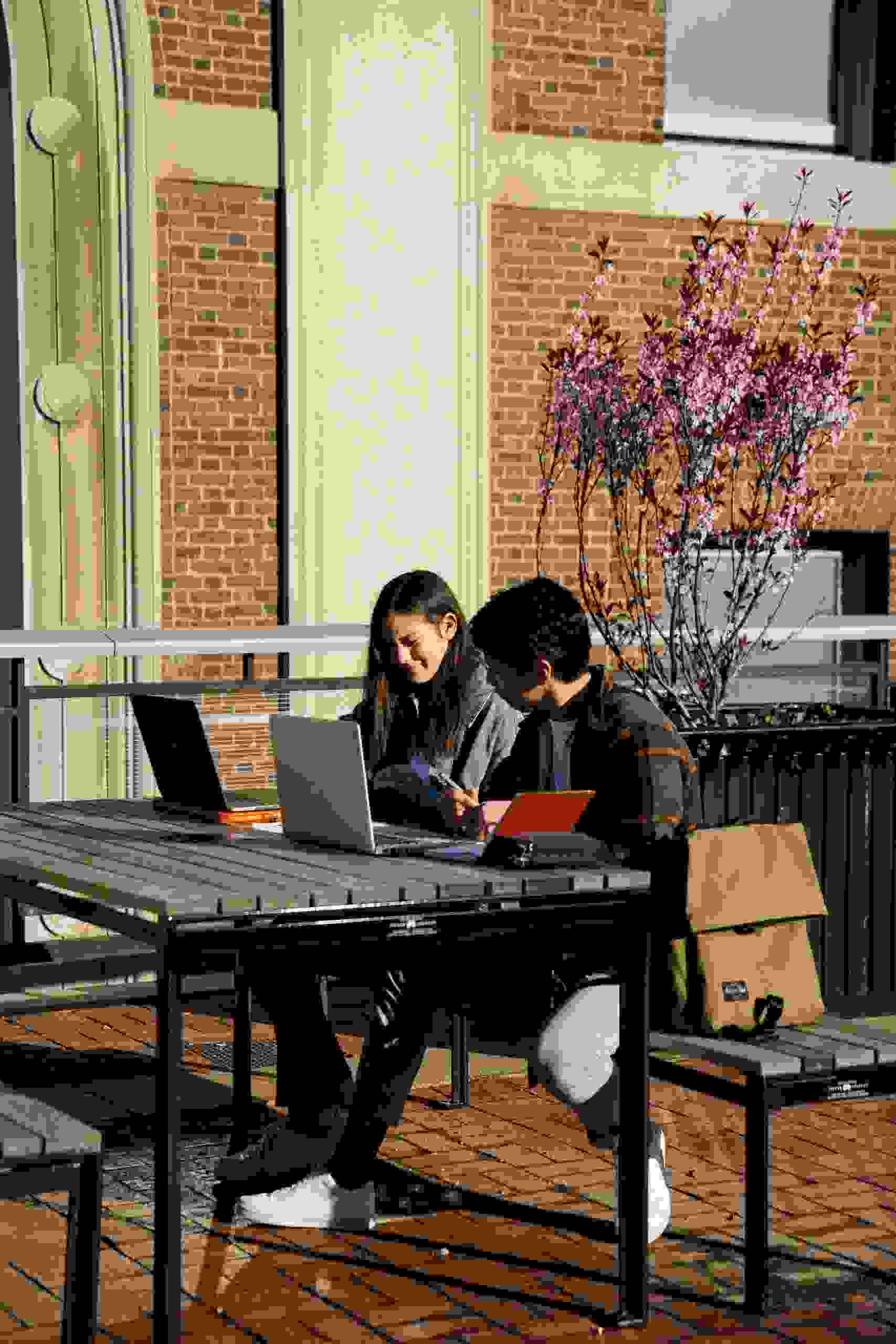 Two students working together on laptops outdoors while researching a Public Service Loan, comparing Student Loan Refinance Companies, learning How often Can you Refinance Student Loans, exploring a Refinance International Student Loan, and seeking Student Loan Relief options.